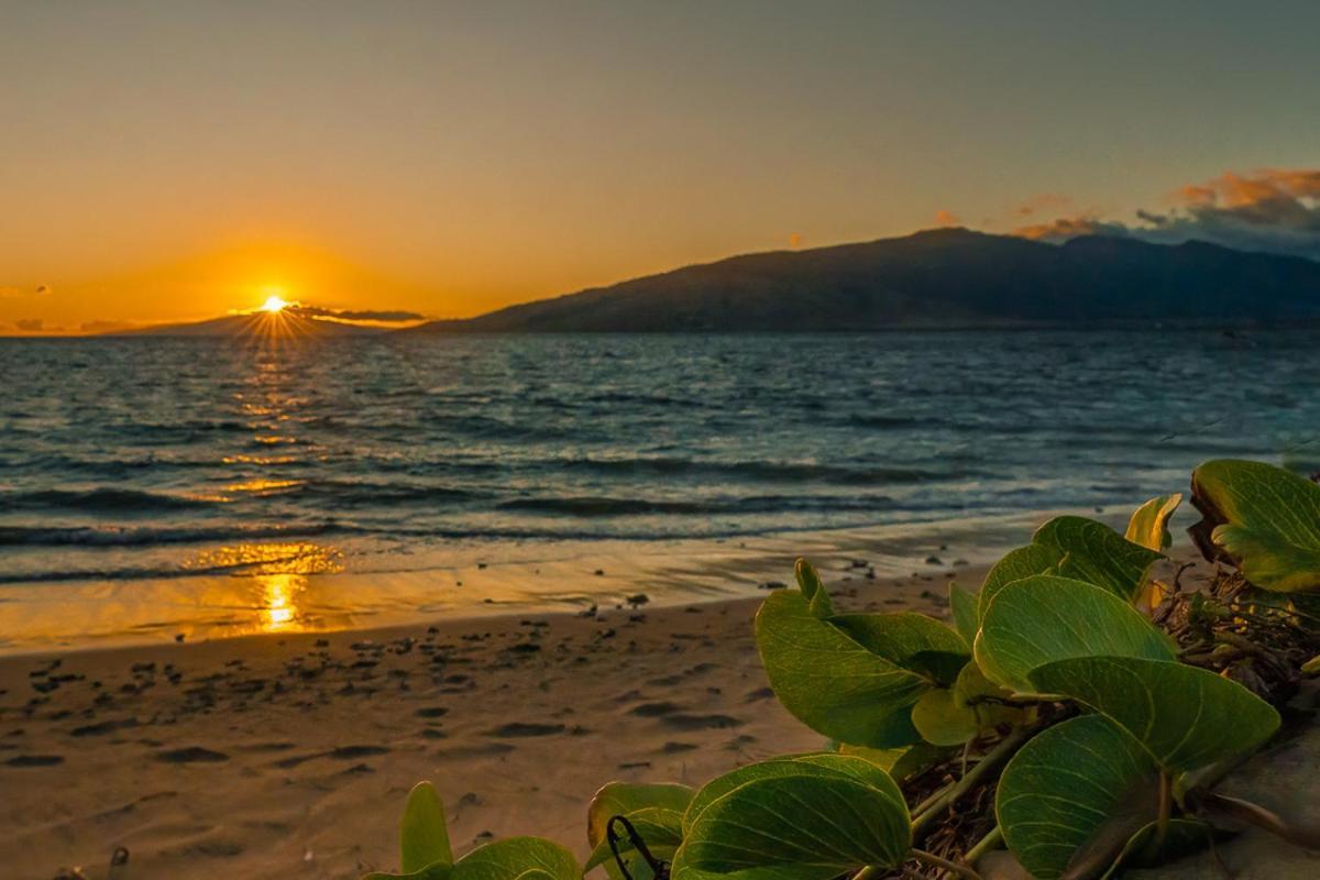 Maui Sunset B-115 Διαμέρισμα Kihei Εξωτερικό φωτογραφία